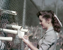 Debbie Reynolds signs autographs for fans by chain fence 1950's11x14 inch photo