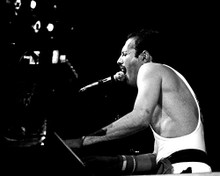 Queen Freddie Mercury Wembley Stadium in concert at piano 11x14 Photorap