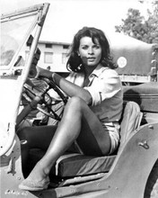 Senta Berger sits at wheel of Jeep leggy pose Cast A Giant Shadow 11x14 photo