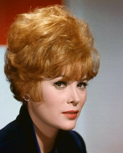 Jill St. John beautiful 1960's studio portrait with famous red hair11x17 Poster