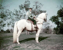 Debbie reynolds 1950's pose sitting atop white horse 11x17 inch Poster