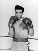 Elvis Presley in boxing stance in ring Kid Galahad 11x17 Poster