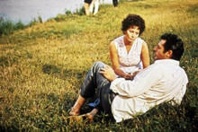 Sunflower 1970 movie Sophia Loren Marcello Mastroianni sit on grass 12x18 Poster