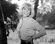 Doris Day smiling outdoor pose in checkered shirt Doris Day Show12x18 Poster