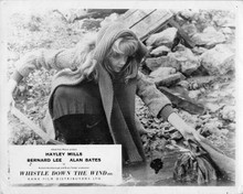 Whistle Down The Wind Hayley Mills rescues kittens from stream 8x10 inch photo