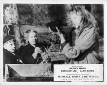 Whistle Down The Wind Hayley mills holds kitten Diane Holgate Alan Barnes 8x10