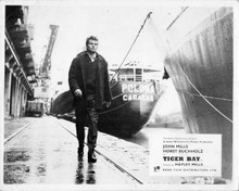Tiger Bay 1959 Horst Buchholz on Cardiff dock Poloma Caracas ship 8x10 photo