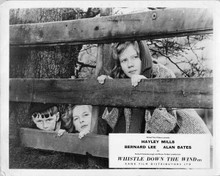 Whistle Down The Wind Hayley Mills John Barnes Diane Holgate at fence 8x10 photo