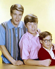 My Three Sons Don Grady Stanley Livingston Tim Considine studio pose 8x10 photo