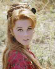 Ann-Margret beautiful 1960's portrait with long blonde hair 8x10 inch photo