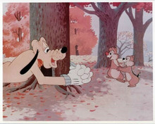 Goofy with Chip n'Dale in woods 8x10 inch photo