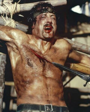 Sylvester Stallone brutal scene tied on rack from 1982 First Blood 8x10 photo