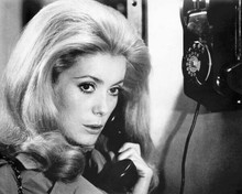 Catherine Deneuve early 1970's pose holding telephone 8x10 inch photo