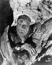 Lon Chaney Jnr in title role of The Wolf Man 1941 Universal classic 8x10 photo
