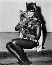 Batman 1966 TV series Yvonne Craig in Batgirl costume with small dog 8x10 photo