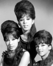 The Ronettes Ronnie Spector Estelle Bennett Nedra Talley portrait 8x10 photo