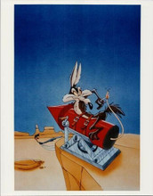 Road Runner & Wile E. Coyote cartoon Wile lighting dynaite rocket vintage 8x10