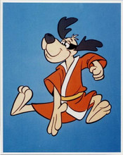 Hong Kong Phooey 1974 animated TV series Phooey in typical kung fu pose 8x10