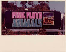 Pink Floyd Animals 1977 album artwork Sunset Boulevard billboard 8x10 photo