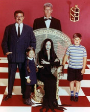The Addams Family Carolyn Jones John Astin Ted Cassidy and kids pose 8x10 photo