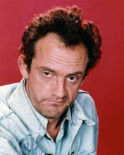 Christopher lloyd classic expression as Jim from Taxi TV series 8x10 inch photo