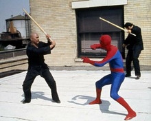 Amazing Spider-Man 1977 TV Nicholas Hammond fights two villains 8x10 inch photo