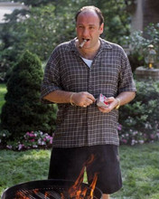 James Gandolfini as Tony lighting his barbecue The Sopranos 8x10 inch photo