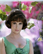 Gina Lollobrigida classic 1960's porrait in low cut green dress 8x10 inch photo