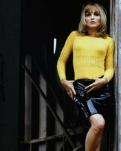 Sharon Tate in clinging yellow sweater & shiny black skirt shows leg 8x10 photo