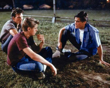 The outsiders Patrick Swayze C. Thomas Howell Rob Lowe sit on grass 8x10 photo