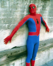 Amazing Spider-Man 1977 Nicholas Hammond as Spidey on edge of building 8x10