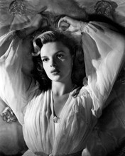 Judy Garland looks voluptuous in this 1940's glamour pose arms raised 8x10 photo