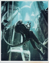 Alien Xenomorph full length pose in space ship 8x10 photo