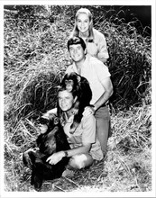 Daktari classic TV Marshall Thompson Yale Summers Cheryl Miller & chimps 8x10