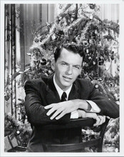 Frank Sinatra Young at Heart sits in front of Christmas tree 8x10 photo