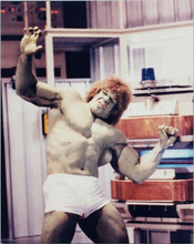 Lou Ferrigno barechested in shorts as The Incredible Hulk 8x10 photo
