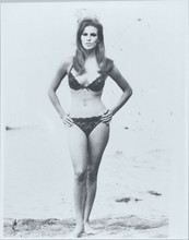 Raquel Welch full length in black bra and panties hands on hips 8x10 photo
