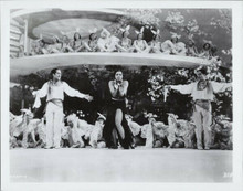 Josephine Baker full length leggy pose dance sequence Princes Tam Tam 8x10 photo