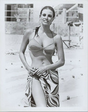 Raquel Welch smiles on beach wearing bikini with towel around waist 8x10 photo