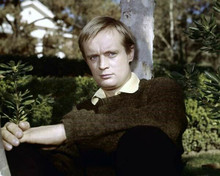 David McCallum Man From UNCLE in sweater poses by tree 1960's era 8x10 photo