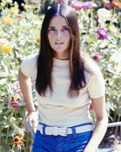 Ali MacGraw 1970 portrait in t-shirt and jeans 8x10 inch photo