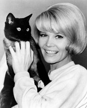 Dorothy Malone Peyton Place star smiling pose with black cat 8x10 inch photo