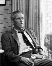 Paul Newman cool pose in suit & lossened tie holding can of beer 8x10 inch photo