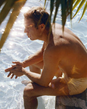 Steve McQueen in swimshorts relaxing by his pool 1960's rare image 8x10 photo