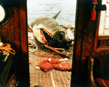 Jaws Bruce the shark biting his way through Orca stern 8x10 inch photo