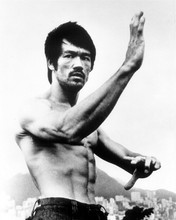 Bruce Lee in classic kung fu stance looks cool with beard 8x10 inch photo