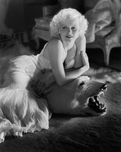 Jean Harlow in low cut white dress sits on bear rug stunning pose 8x10 photo