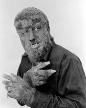 The Wolf Man 1941 Lon Chaney Jr. as Larry Talbot Wolf Man 8x10 inch photo