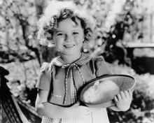 Shirley Temple cute Easter pose with baby white rabbit in basket 8x10 inch photo