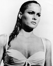 Ursula Andress as Honey Rider with wet hair in white bikini Dr. No 8x10 photo